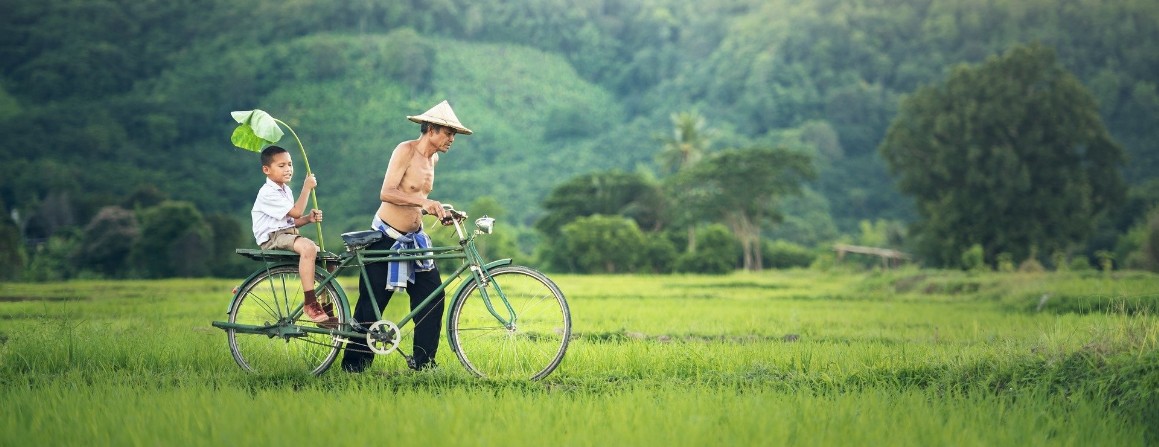 Mit dem Fahrrad durch das Reisfeld