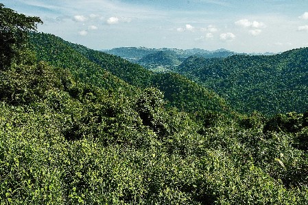 Bergwelt des Khao Yai Nationalparks