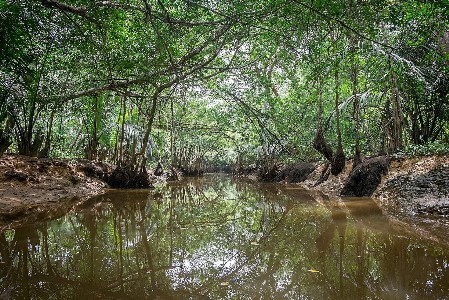 Der Amazonas von Khao Lak