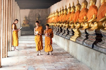 Buddhismus, Mönche im Gebet