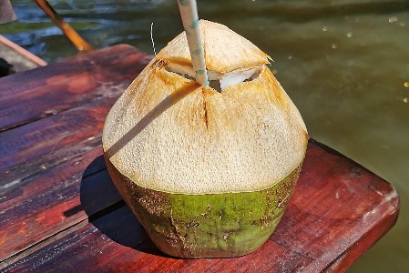 Leckeres Kokosnuswasser in Thailand